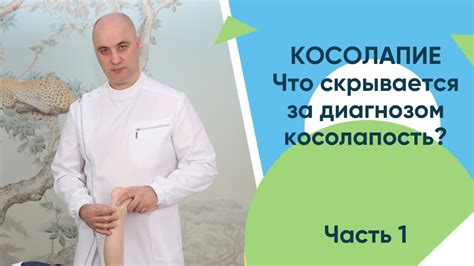 Что скрывается за котячьей анатомией?