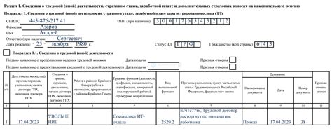 Что такое ЕФС 1 и как заполнить подраздел 1