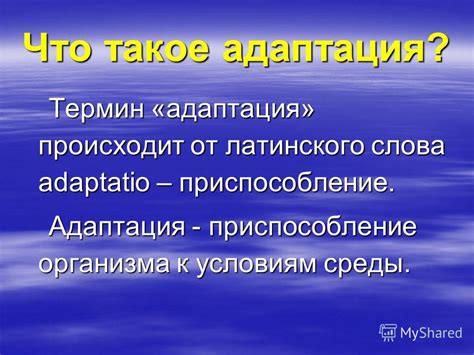 Что такое приспособление к дефекту?