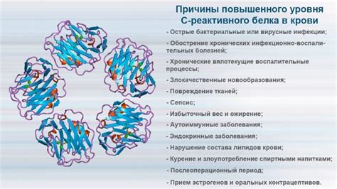 Что такое реактивный белок