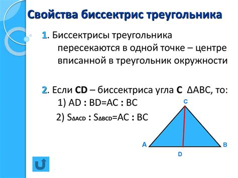 Что указывает законодательство о треугольниках на ремнях?