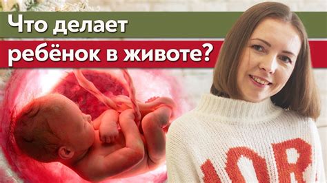 Чувствуемость ребенка внутри утробы