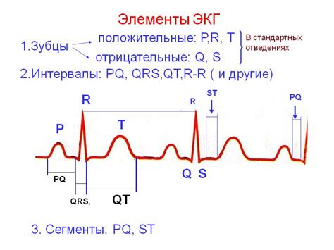 ЭКГ при болезни: важность и возможности использования