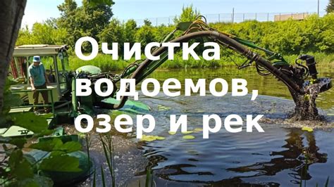 Экологические последствия цветения рек