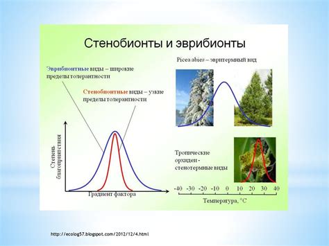 Экологические условия городской среды