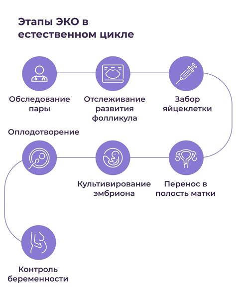 Эко в естественном цикле: основные принципы