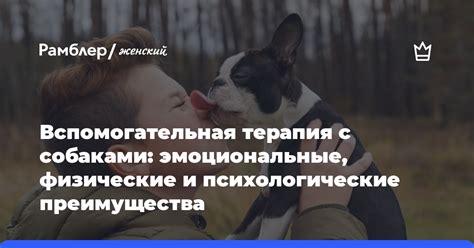 Эмоциональные и психологические последствия поднятия собаки за шкуру