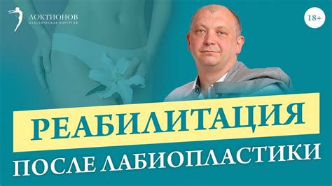 Эмоциональные соображения владельца