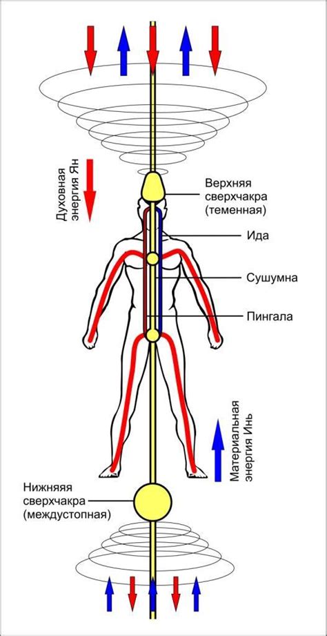 Энергетические поля и их влияние на связь между людьми