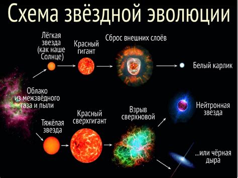 Этапы эволюции звезды