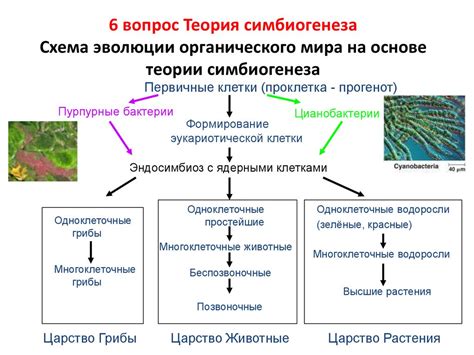 Этапы эволюции растений