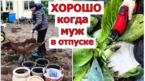 Эффективные методы уборки двора без особых затрат