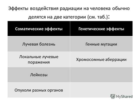 Эффекты воздействия вай-фая на организм: факты и примеры