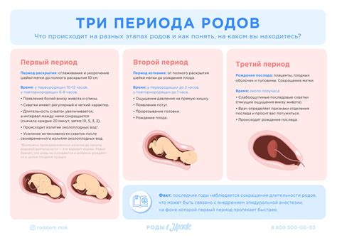  Третий этап: максимальное раскрытие 