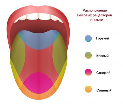  Узнаем, в чем состоит вкус этой необычной еды и какие преимущества она может иметь?