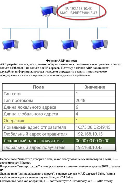 ARP-протокол: понимание его роли в сети